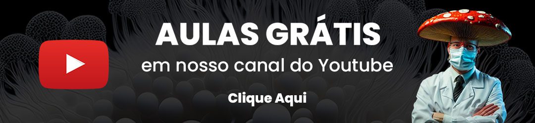 aulas de cultivo de cogumelos grátis no Youtube