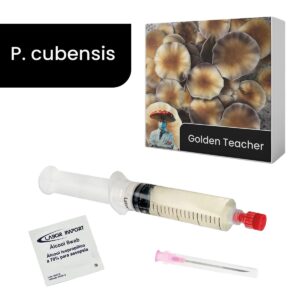 cultura líquida de golden teacher psilocybe cubensis