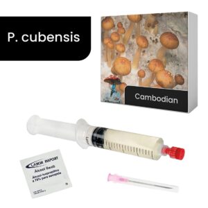 cultura líquida de cambodian