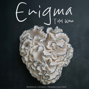 enigma tidal wave psilocybe cubensis professor cogumelo