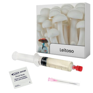 cultura líquida cogumelo leitoso calocybe indica