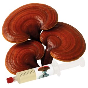 cultura líquida reishi