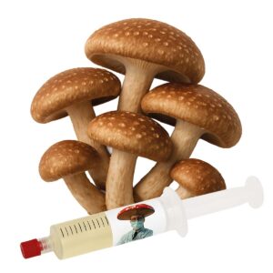 cultura líquida shiitake