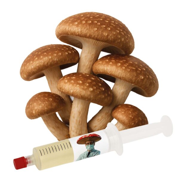 cultura líquida shiitake