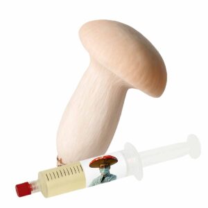 True Albino Teacher – TAT (Psilocybe cubensis) – Semente Cultura Líquida