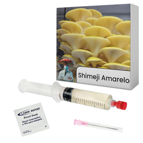 cultura líquida shimeji amarelo pleurotus citrinopileatus