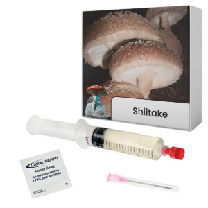 cultura líquida shiitake