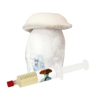 Albino Penis Envy APE (Psilocybe cubensis) – Semente Cultura Líquida