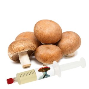 Champignon Paris / Portobello (Agaricus bisporus) – Semente Cultura Líquida