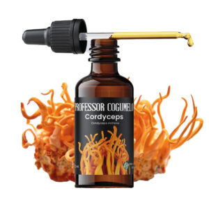 Extrato de Cordyceps militaris