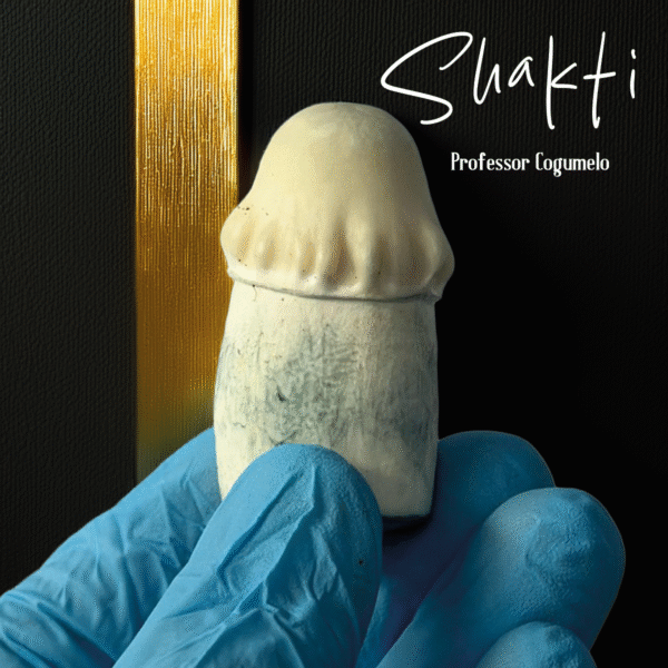 Amostra Taxonômica (Shakti)