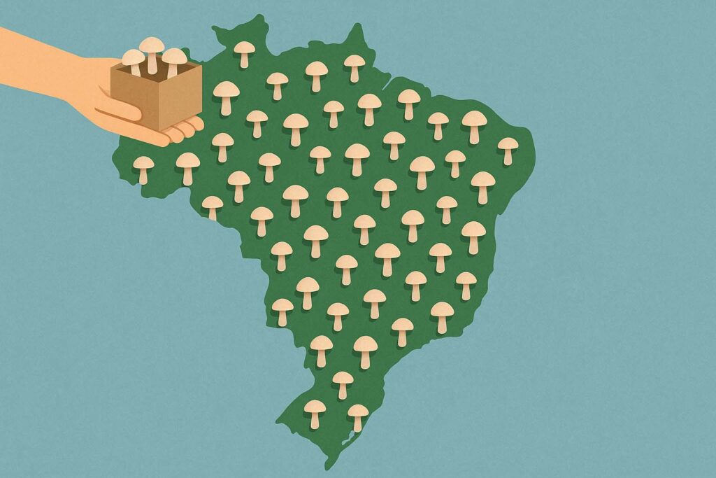 entregas em todo o brasil