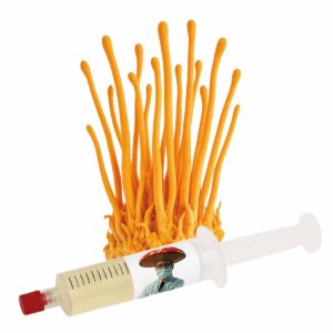 cordyceps militaris semente cultura líquida