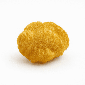 Juba de Leão | Hericium erinaceus - Desidratado