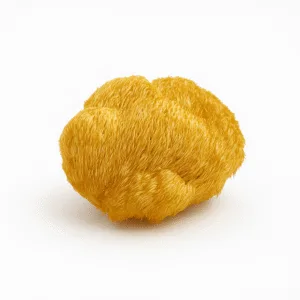 Juba de Leão | Hericium erinaceus - Desidratado