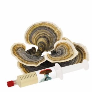 Cauda de Peru (Trametes versicolor) – Cultura Líquida 