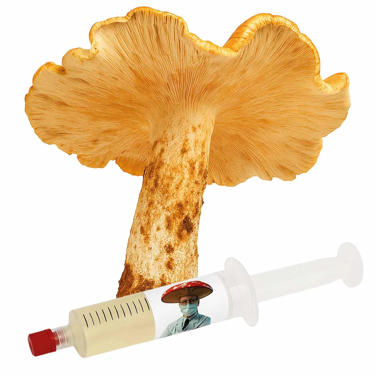 Titans (Macrocybe titans) – Semente Cultura Líquida