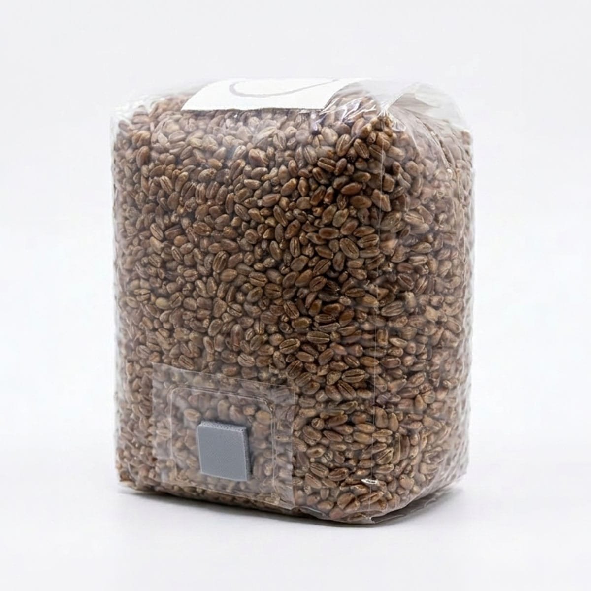 Essenciais da Fungicultura