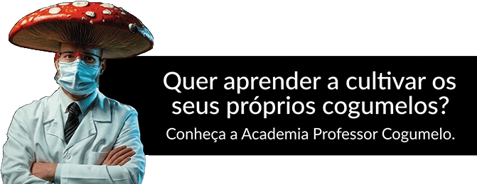 clique e conheça a academia professor cogumelo