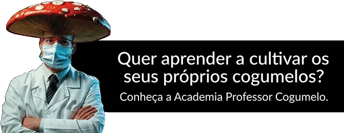 Quer aprender a cultivar cogumelos? Conheça a academia Professor Cogumelo