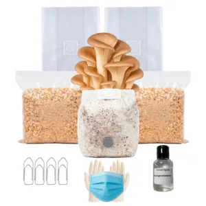 Kit Cultivo Completo | Shimeji Marrom