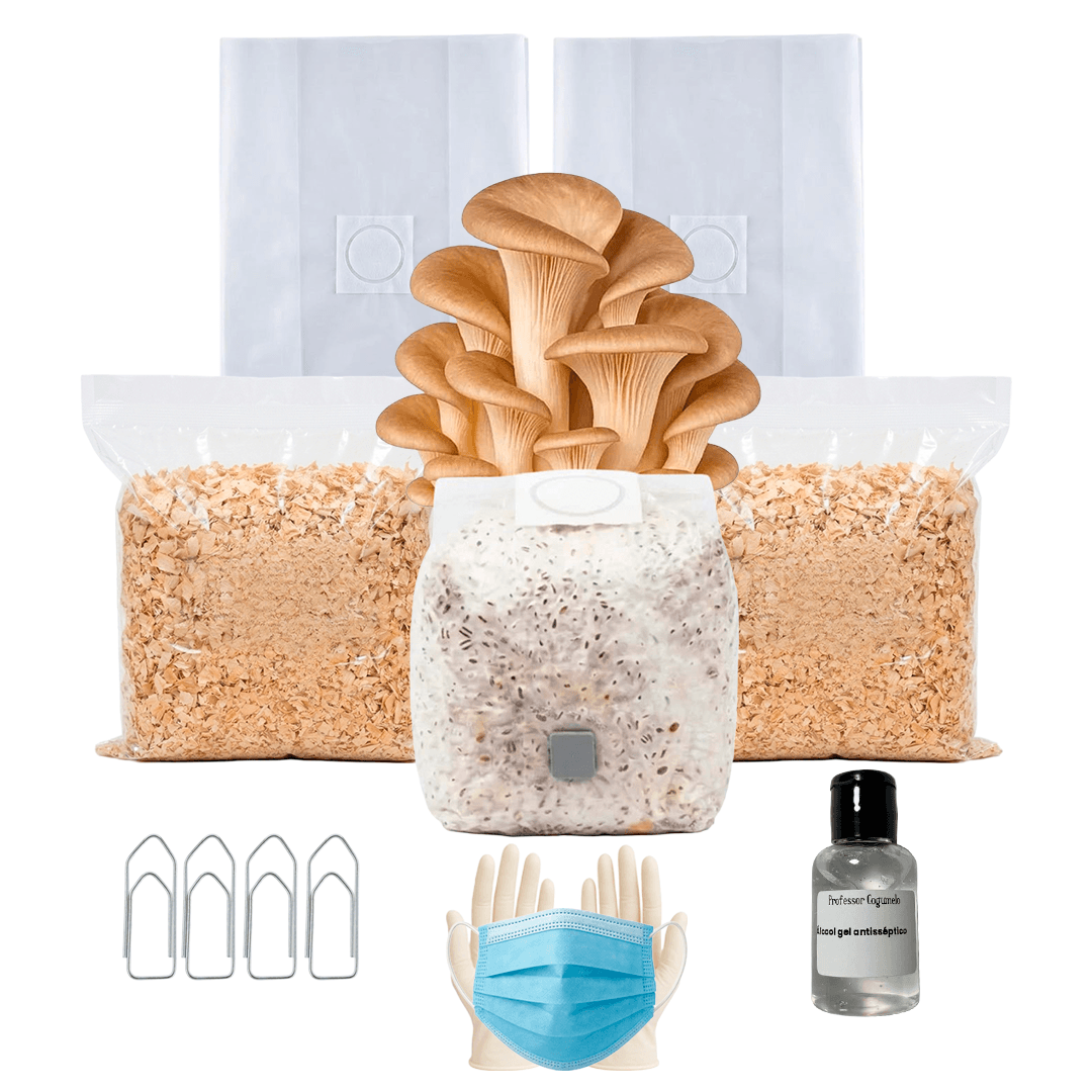 Kit Cultivo Completo | Shimeji Marrom