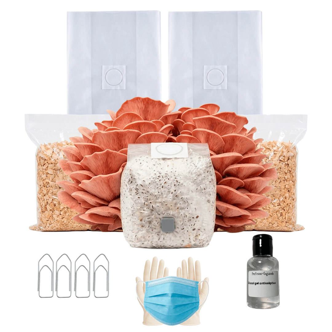 Kit Cultivo Completo: Shimeji Rosa