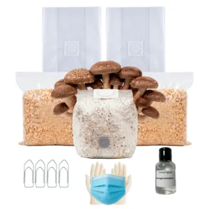 Kit Cultivo Completo | Shiitake
