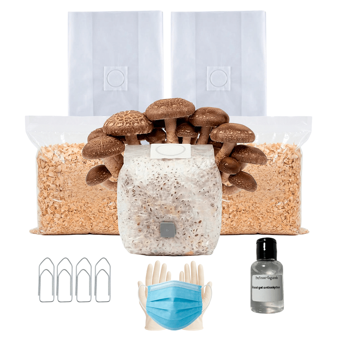 Kit Cultivo Completo | Shiitake