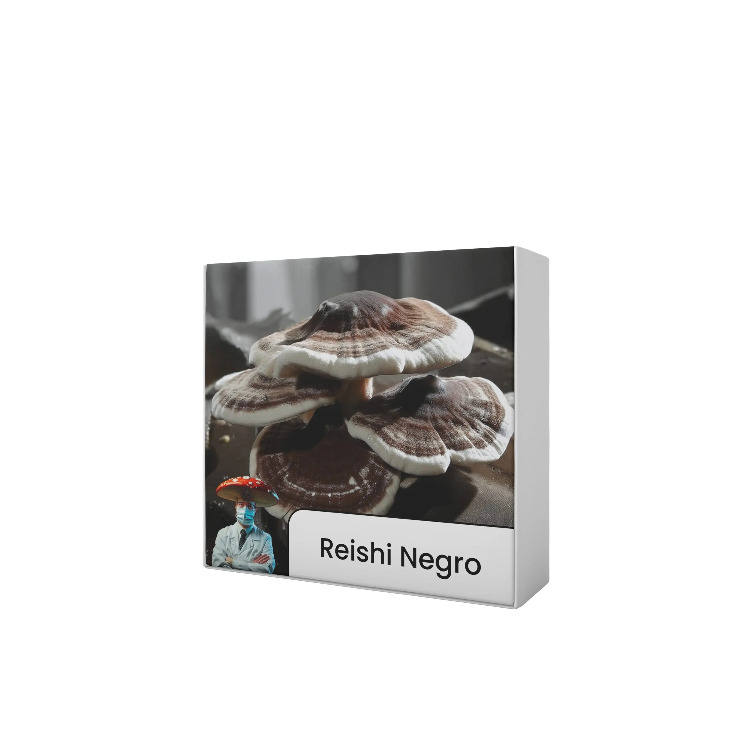 Reishi Negro (Ganoderma sinense) - Semente Cultura Líquida - Imagem 4