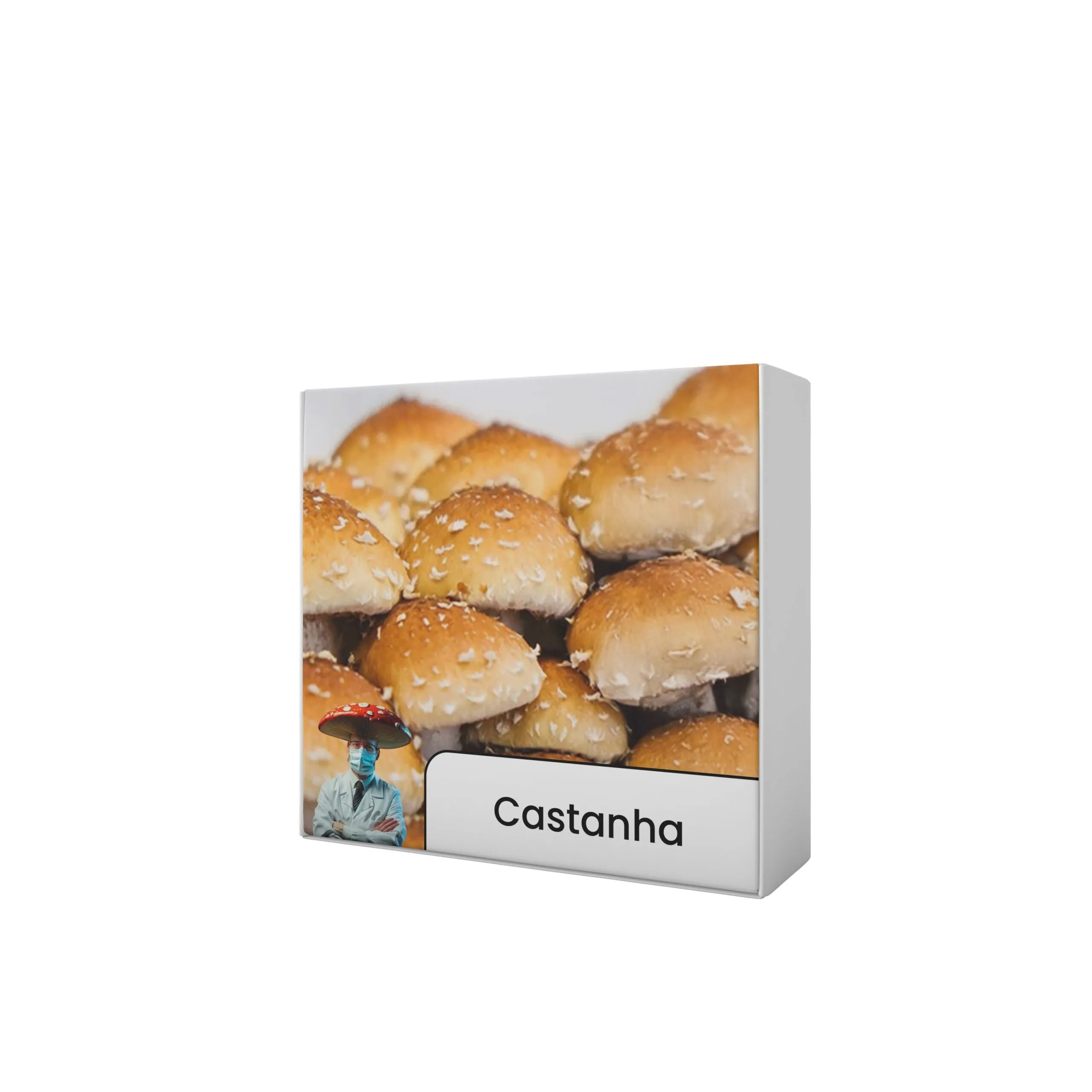 Cogumelo Castanha / Chestnut (Pholiota adiposa) - Semente Cultura Líquida - Imagem 4