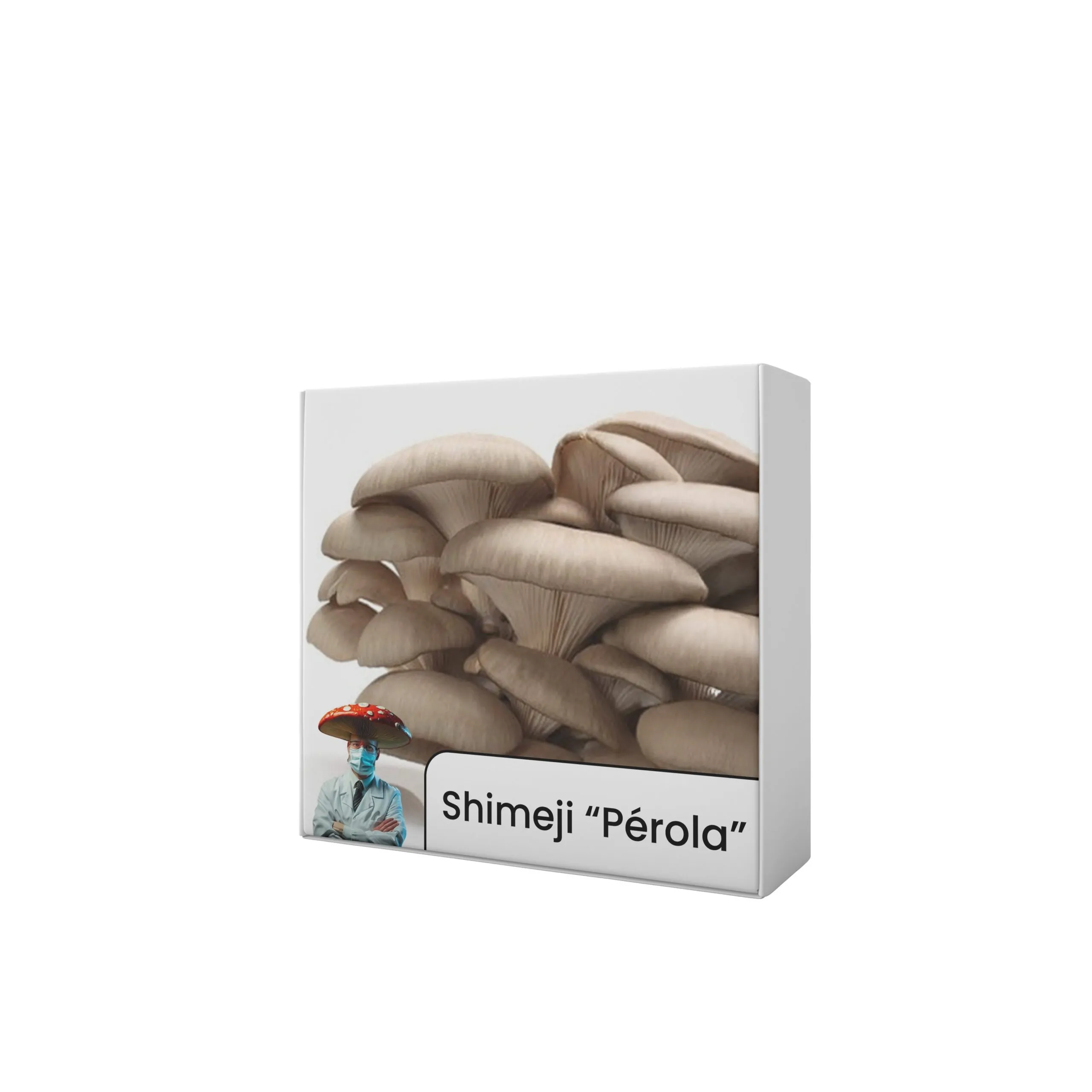 Shimeji "Pérola" (Pleurotus ostreatus) - Semente Cultura Líquida - Imagem 4