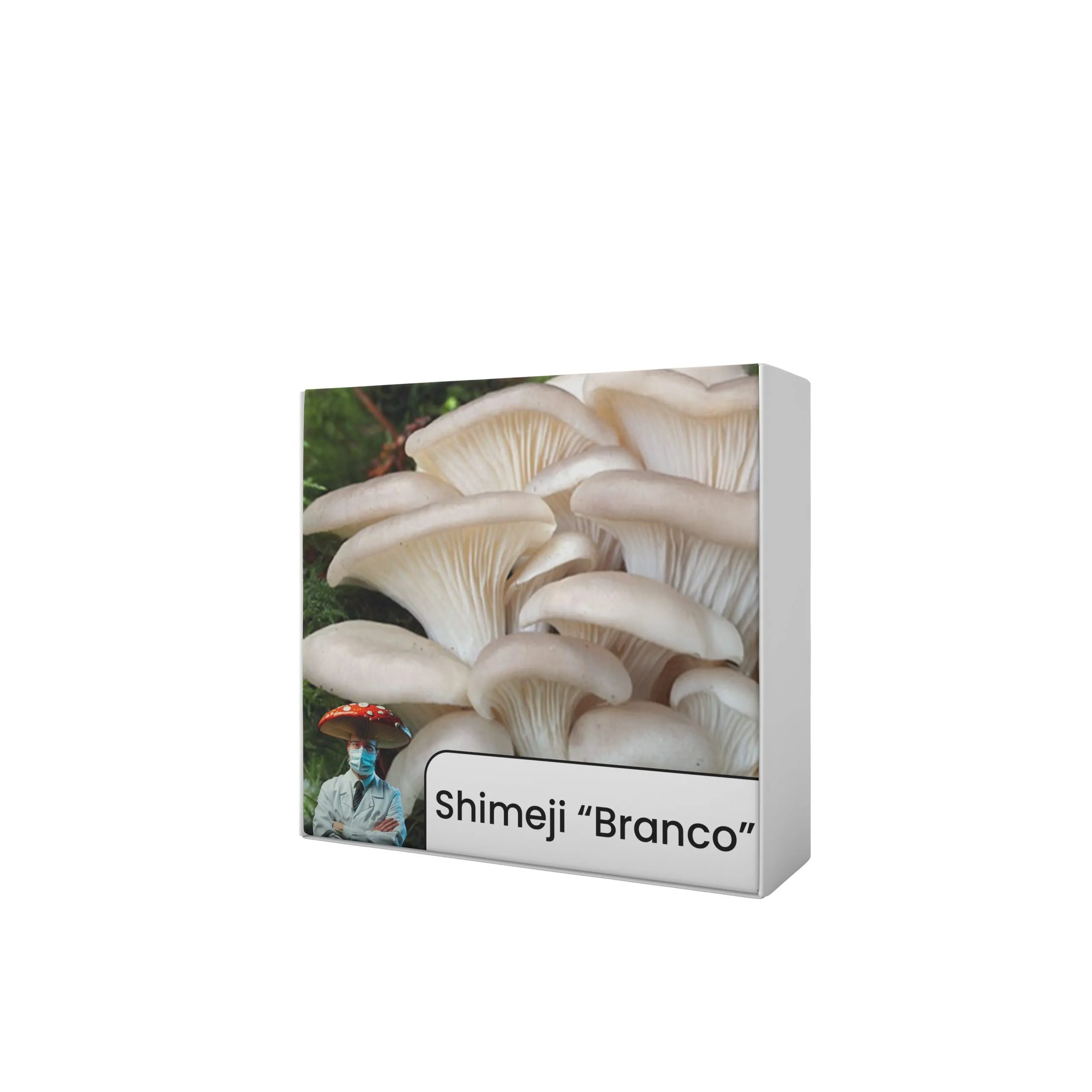Shimeji "Branco" (Pleurotus ostreatus) - Semente Cultura Líquida - Imagem 4