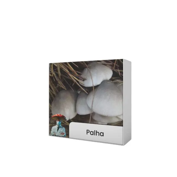 Cogumelo da Palha (Volvariella volvacea) - Semente Cultura Líquida - Imagem 5