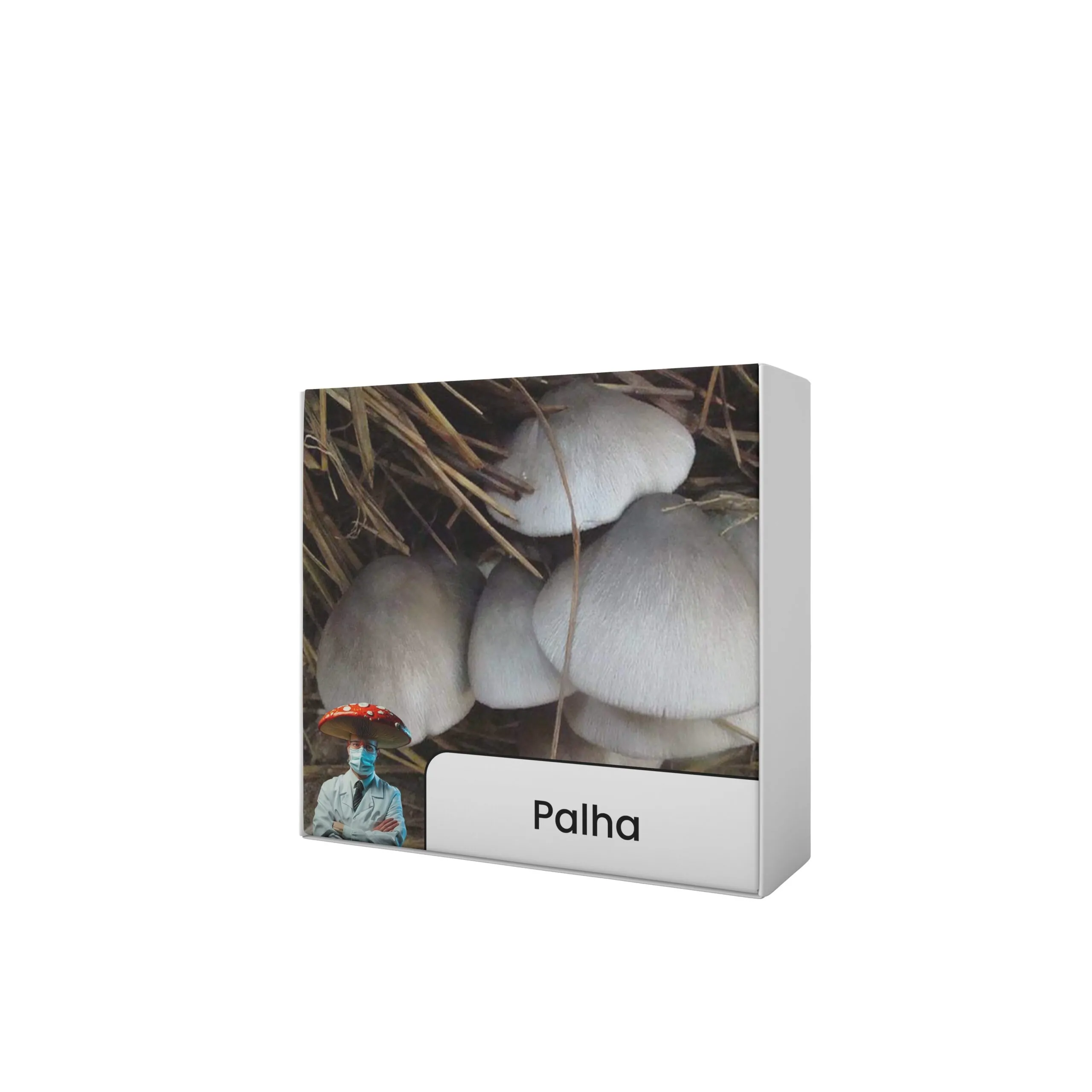 Cogumelo da Palha (Volvariella volvacea) - Semente Cultura Líquida - Imagem 5