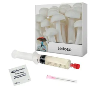 cultura líquida cogumelo leitoso calocybe indica
