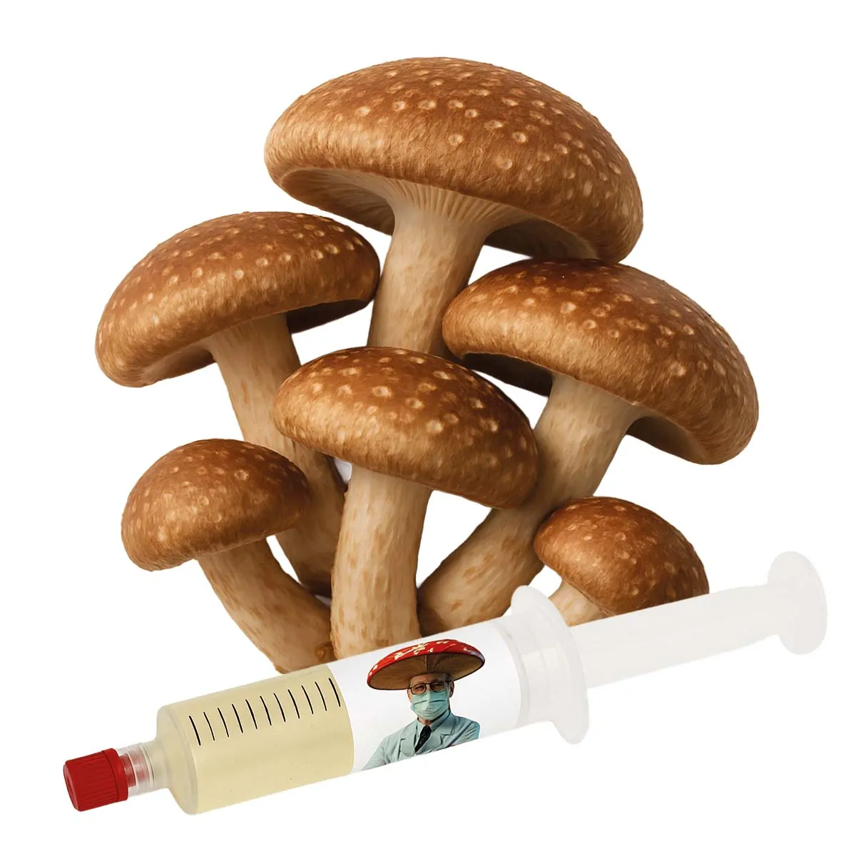 cultura líquida shiitake