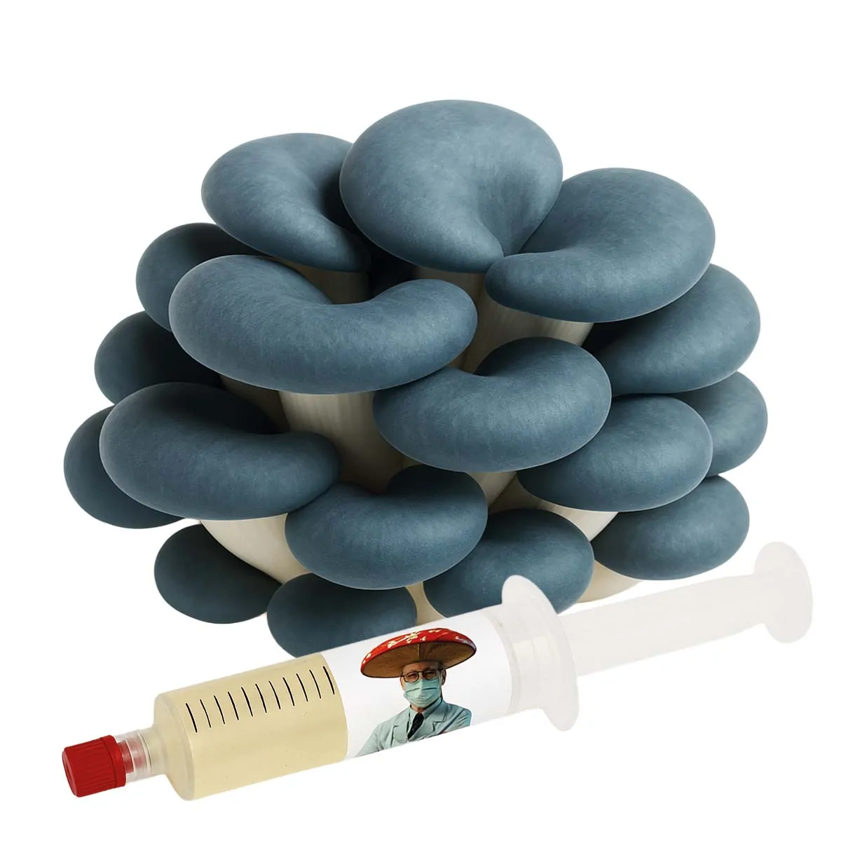 cultura líquida shimeji azul