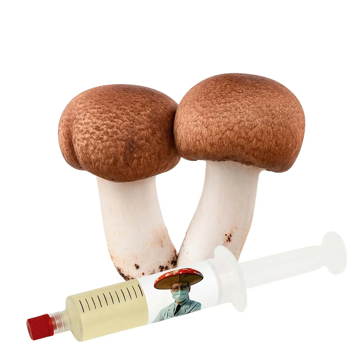 Cogumelo do Sol | Blazei (Agaricus subrufescens) – Semente Cultura Líquida