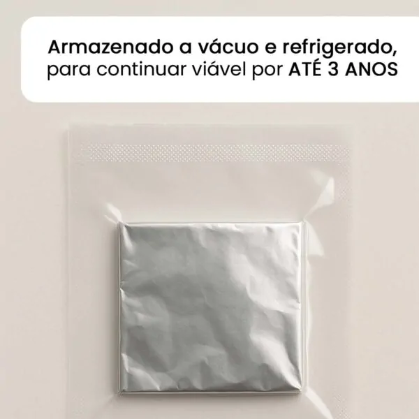 B+ (Psilocybe cubensis) - Carimbo de Esporos - Imagem 2