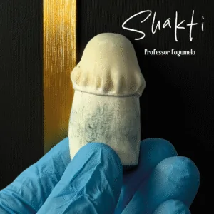 Amostra Taxonômica (Shakti)