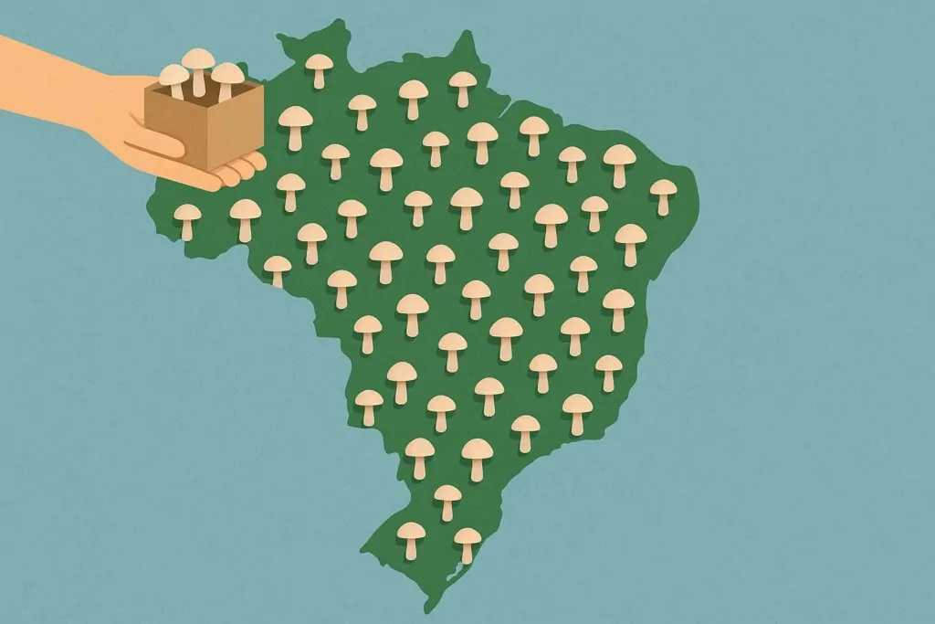 entregas em todo o brasil