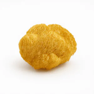 Juba de Leão | Hericium erinaceus - Desidratado